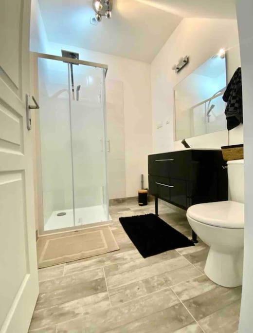 Appartement Centre Ville Saint-Amand-Mont-Rond Esterno foto